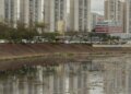 Rio Tietê não tem trecho livre de contaminação, diz SOS Mata Atlântica