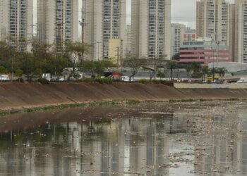 Rio Tietê não tem trecho livre de contaminação, diz SOS Mata Atlântica