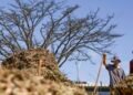 Sistemas agroecológicos de quatro biomas são criados em Brasília