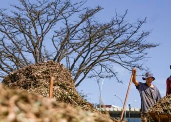 Sistemas agroecológicos de quatro biomas são criados em Brasília