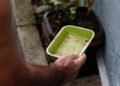 El Niño pode aumentar casos de chikungunya e dengue no Brasil