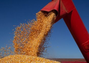 IBGE prevê safra de 347,4 milhões de toneladas para 2026