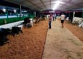 Concurso evidencia avanços da pecuária leiteira impulsionados pela assistência técnica em todo o estado