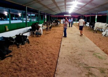 Concurso evidencia avanços da pecuária leiteira impulsionados pela assistência técnica em todo o estado