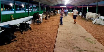Concurso evidencia avanços da pecuária leiteira impulsionados pela assistência técnica em todo o estado