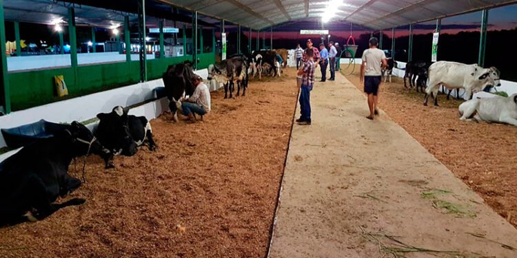 Concurso evidencia avanços da pecuária leiteira impulsionados pela assistência técnica em todo o estado