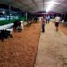 Concurso evidencia avanços da pecuária leiteira impulsionados pela assistência técnica em todo o estado
