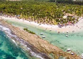 Barulho de barco e de turistas afeta comunicação de peixes, diz estudo