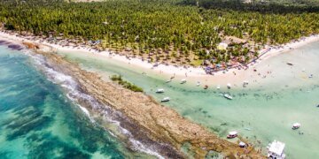 Barulho de barco e de turistas afeta comunicação de peixes, diz estudo