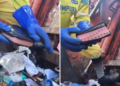 Gari encontra Bíblia no lixo e reflete sobre seu valor