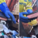 Gari encontra Bíblia no lixo e reflete sobre seu valor