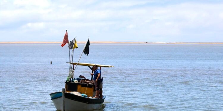 Pescadores artesanais começam a receber seguro-defeso retroativo
