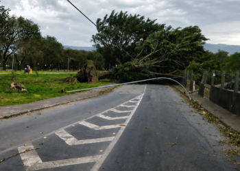 Sobe para três o número de mortes em SP devido à ventania