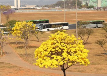 Centro-Oeste tem três alertas ativos para chuvas e baixa umidade