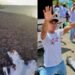 7 milhões de pessoas marcham para Jesus em 300 cidades da Venezuela
