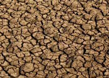 Risco de desertificação no Brasil ameaça segurança hídrica e alimentar