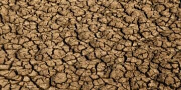 Risco de desertificação no Brasil ameaça segurança hídrica e alimentar