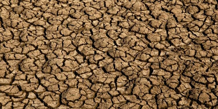 Risco de desertificação no Brasil ameaça segurança hídrica e alimentar