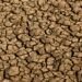 Risco de desertificação no Brasil ameaça segurança hídrica e alimentar