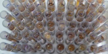 Uso de medicamento oferecido no SUS reduz casos de malária no Brasil