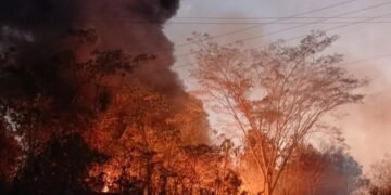 Incêndio no Bairro Industrial assusta moradores e acende alerta em Cacoal