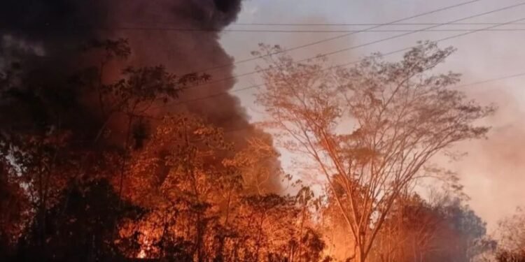 Incêndio no Bairro Industrial assusta moradores e acende alerta em Cacoal