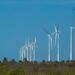 Projeto mapeia caminhos para economia verde no Nordeste