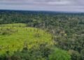 Imazon aponta desmatamento zero em 60% de terras indígenas na Amazônia