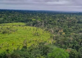 Imazon aponta desmatamento zero em 60% de terras indígenas na Amazônia