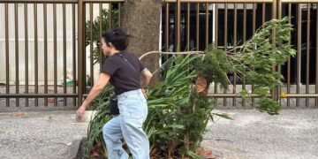 Rio de Janeiro tem alerta para ventos de até 75 km/h neste domingo
