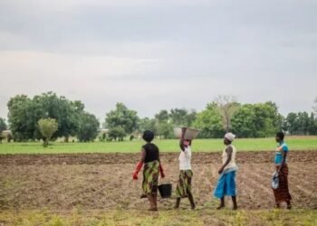 Grande Muralha Verde restaura 1,66 milhão de hectares