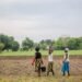 Grande Muralha Verde restaura 1,66 milhão de hectares