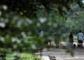 Frio perde intensidade no Sul e seca persiste no centro do país