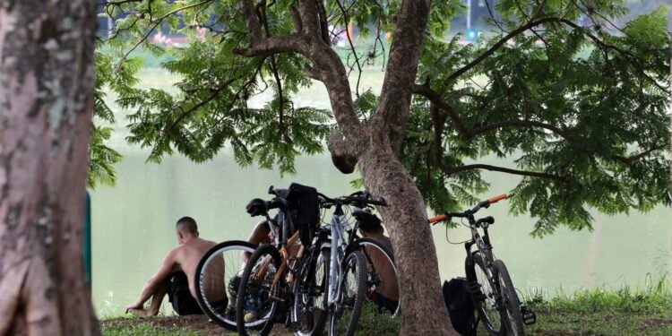 Temperaturas em São Paulo voltam a subir a partir de quarta-feira
