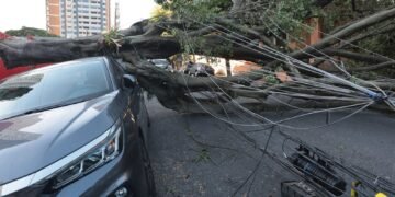 Respostas à crise climática exigem inovação, defende setor elétrico 