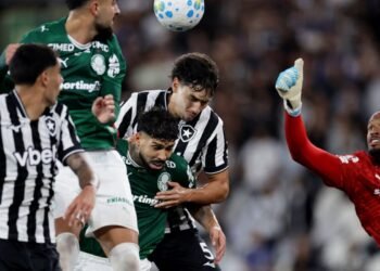 Botafogo segura Palmeiras e ajuda Flamengo, novo líder do Brasileirão
