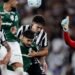 Botafogo segura Palmeiras e ajuda Flamengo, novo líder do Brasileirão