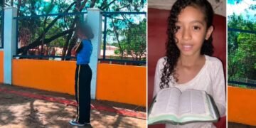 Menina cristã atacada por enxame de abelhas é salva por motoboy em MG