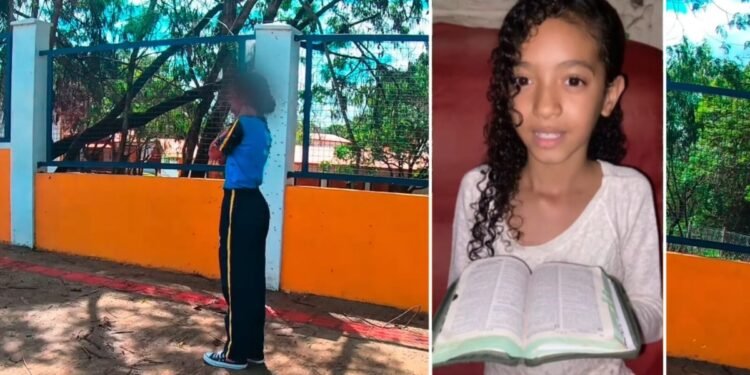 Menina cristã atacada por enxame de abelhas é salva por motoboy em MG