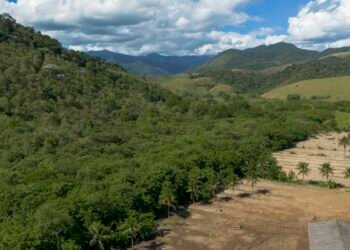 Agricultura ganha 11 milhões de hectares em 41 anos na Mata Atlântica