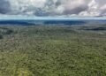 Devastação na Amazônia pode quebrar maior “máquina de chuva” do mundo