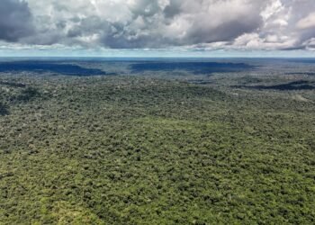 Devastação na Amazônia pode quebrar maior “máquina de chuva” do mundo