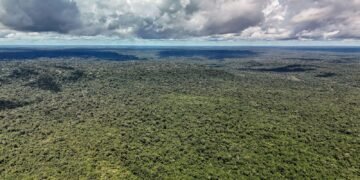 Devastação na Amazônia pode quebrar maior “máquina de chuva” do mundo