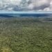 Devastação na Amazônia pode quebrar maior “máquina de chuva” do mundo