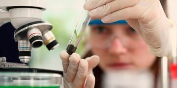 Prêmio para mulheres e meninas cientistas abre inscrições até outubro