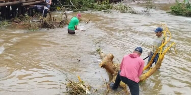 Enchente atinge 60% de Eldorado e isola famílias