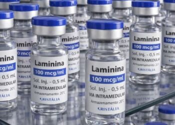 Testes clínicos fase 1 da polilaminina começam este mês