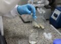 Doença de Newcastle: protocolos sanitários são cumpridos em SC