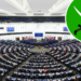 Parlamento Europeu pede inclusão de membros da Irmandade Muçulmana em lista terrorista