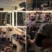 Professora inclui momento de oração por alunas durante aulas de pilates nos EUA